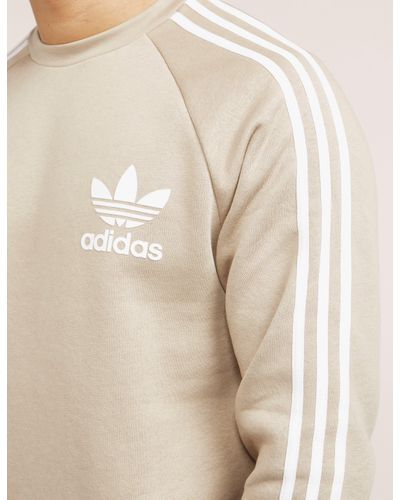 bell sleeve knit dress