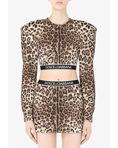 Dolce & Gabbana Leopard Print Long-Sleeved Cropped Top - Brown