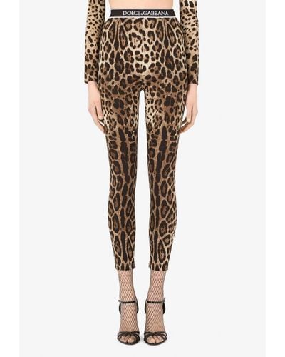 Dolce & Gabbana Leopard Print High-Waist Charmeuse Leggings - Brown