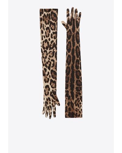 Dolce & Gabbana Leopard Print Long Stretch Gloves - White