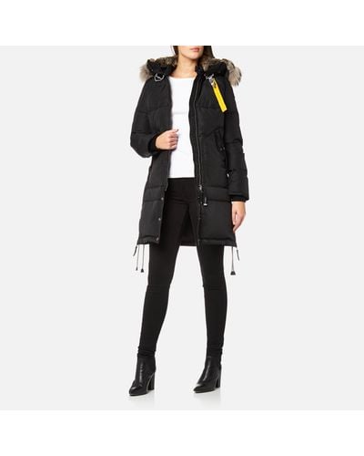 masterpiece long bear