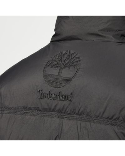 timberland sls down puffer