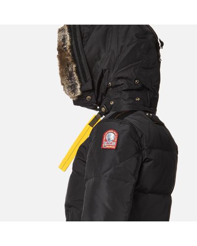 masterpiece long bear