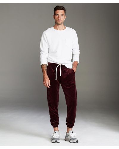 todd snyder sweatpants