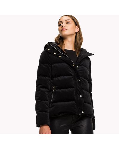 tommy hilfiger velour jacket