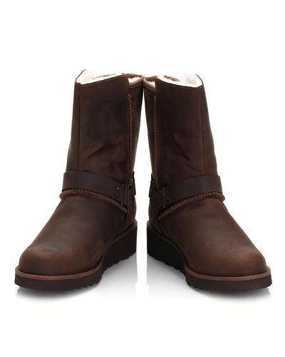 ugg maddox chestnut