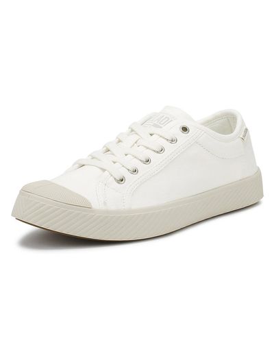 pallaphoenix og canvas