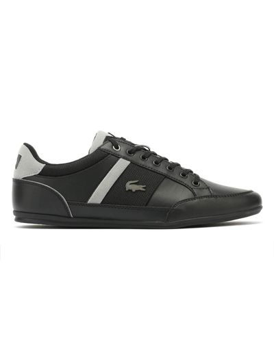 lacoste chaymon 318
