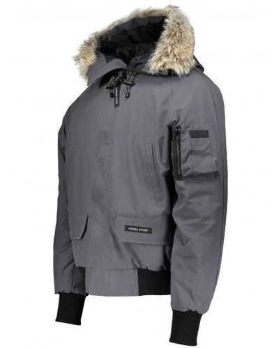 chilliwack bomber graphite