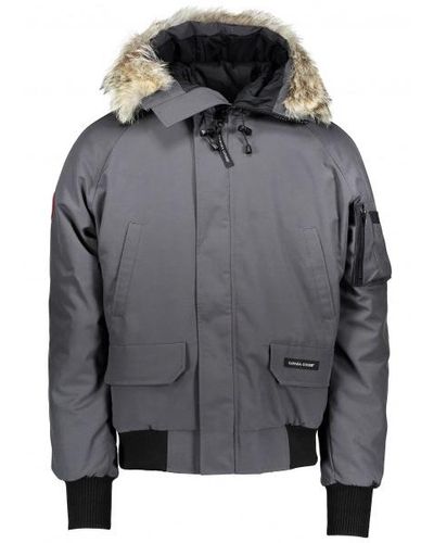 graphite chilliwack bomber