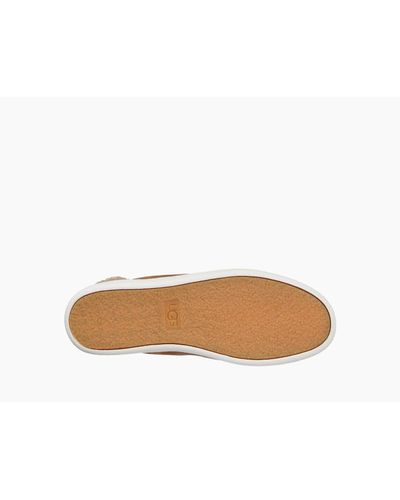 ugg olive chestnut
