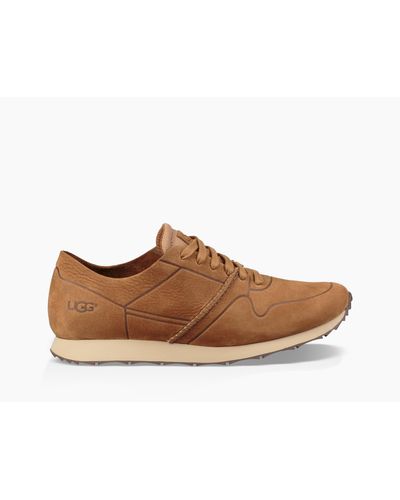 ugg trigo unlined sneaker