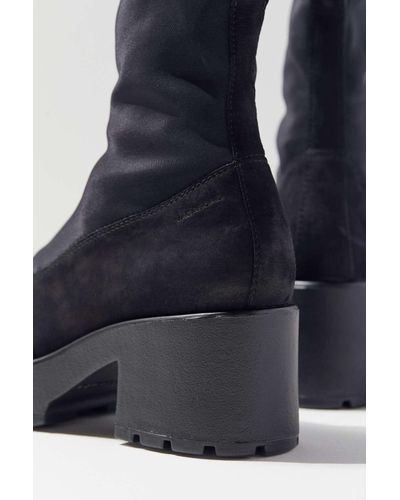 vagabond dioon stretch