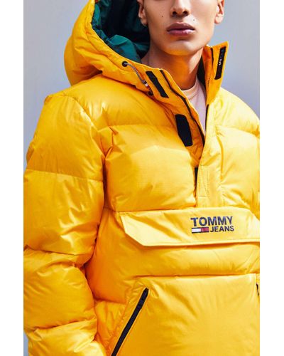 tommy padded popover