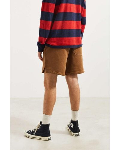 cotton on volley jogger short