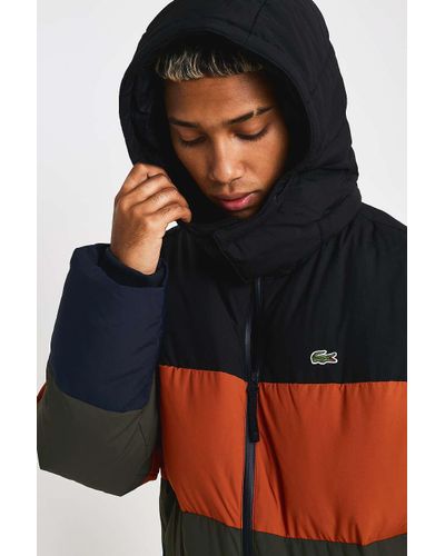lacoste colour block padded jacket