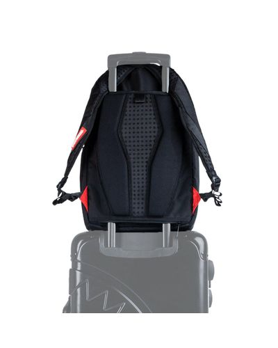 butterfly sprayground