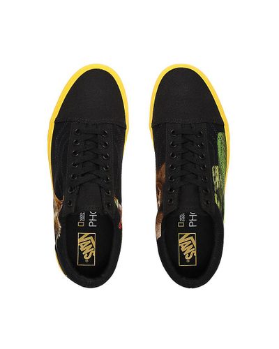 scarpe vans x national geographic old skool