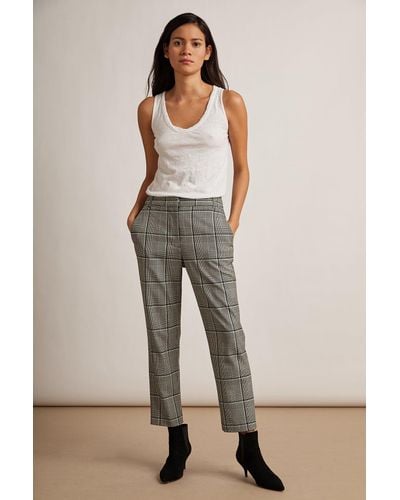 velvet by graham and spencer pants