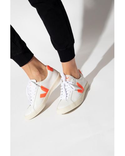 veja esplar pumpkin