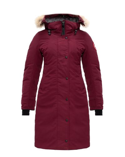 burgundy canada goose jacket