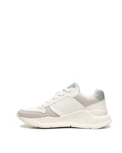Blue Box dames dad sneakers online bestellen | Scapino