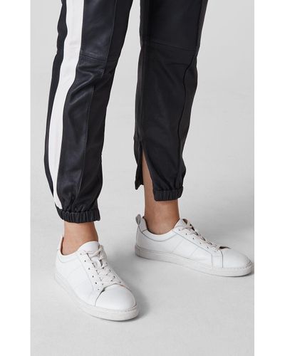 whistles side stripe jogger