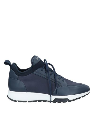 calvin klein blue sneakers