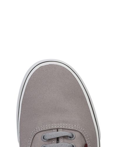 low top vans grey