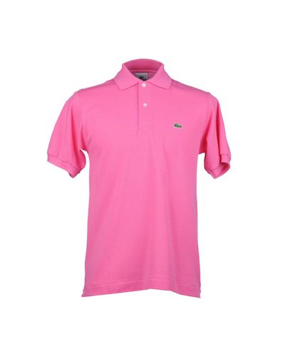 Lacoste Polo Shirt in Fuchsia (Pink) for Men - Lyst