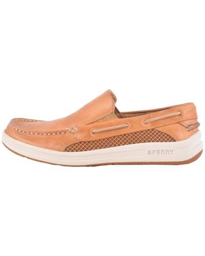 Sperry Gamefish Slip On Off 73 Www Gmcanantnag Net Sperry Gamefish Slip On Off 73 Www Gmcanantnag Net