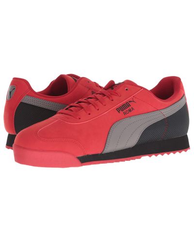 red puma roma