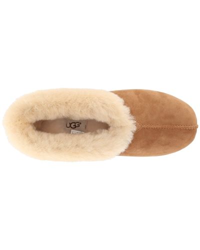 roo revival ugg