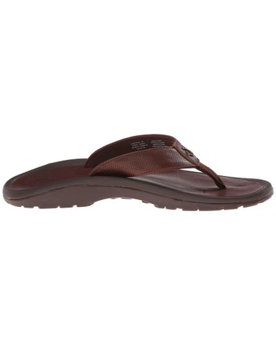 how many jibbitz can fit on a croc
