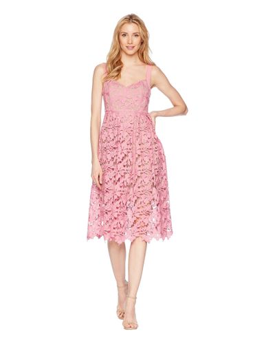 sherbert lace midi dress