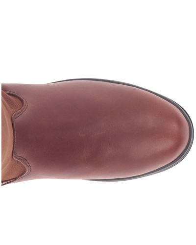ariat grasmere pro