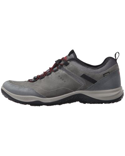 ecco espinho gtx