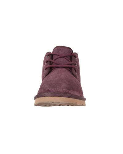purple ugg neumel
