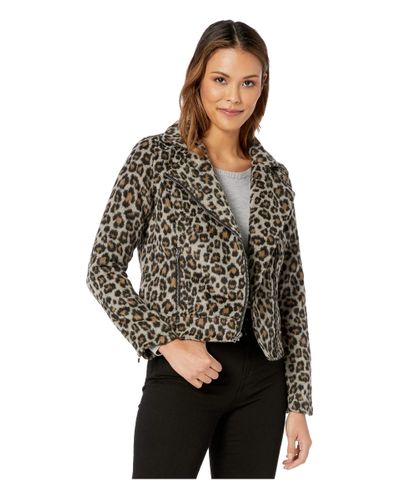 Cupcakes And Cashmere Wool Margaux 
