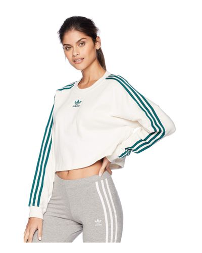 morty sweatshirt