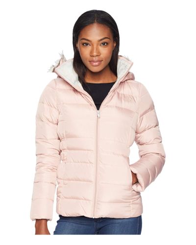 gotham 11 north face