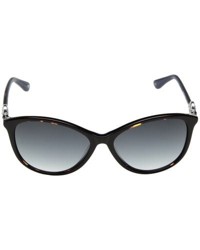 Brighton Ferrara Sunglasses in Tortoise/Navy (Blue) - Lyst