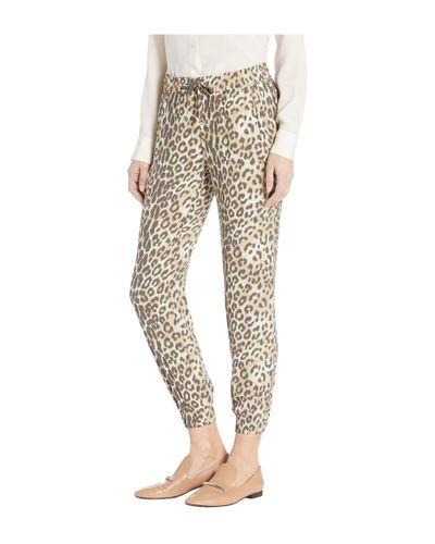 chaser jogger pants