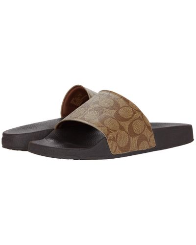 coach slides brown