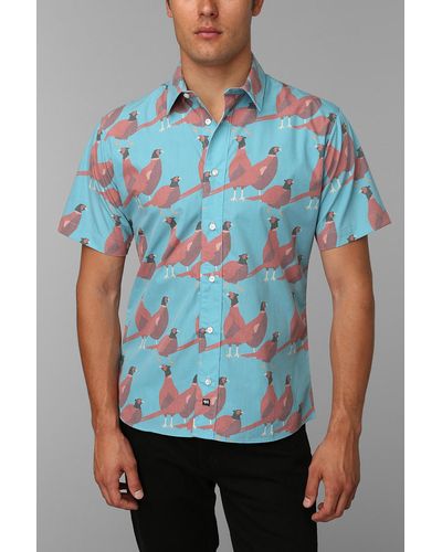 Urban Outfitters Ambsn Pheasant Buttondown Shirt - Blue