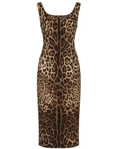 Dolce & Gabbana Leopard-print Charmeuse Midi Dress - Brown