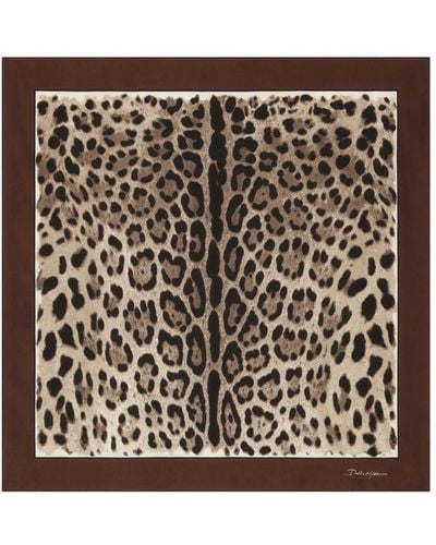 Dolce & Gabbana Leopard-print Silk Scarf - Multicolour