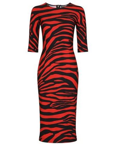 Dolce & Gabbana Zebra-print Jersey Midi Dress - Red