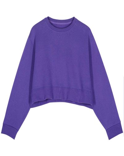 Ba&sh Sweatshirt Daisy - Violet