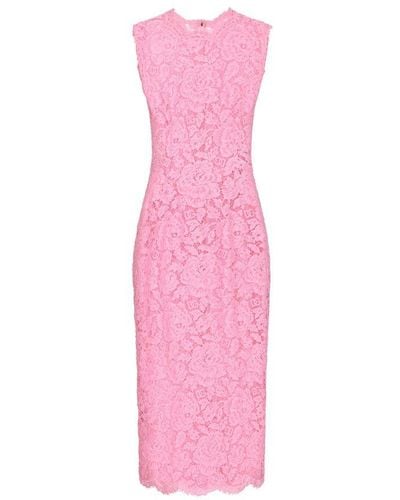 Dolce & Gabbana Branded Stretch Lace Calf-Length Dress - Pink